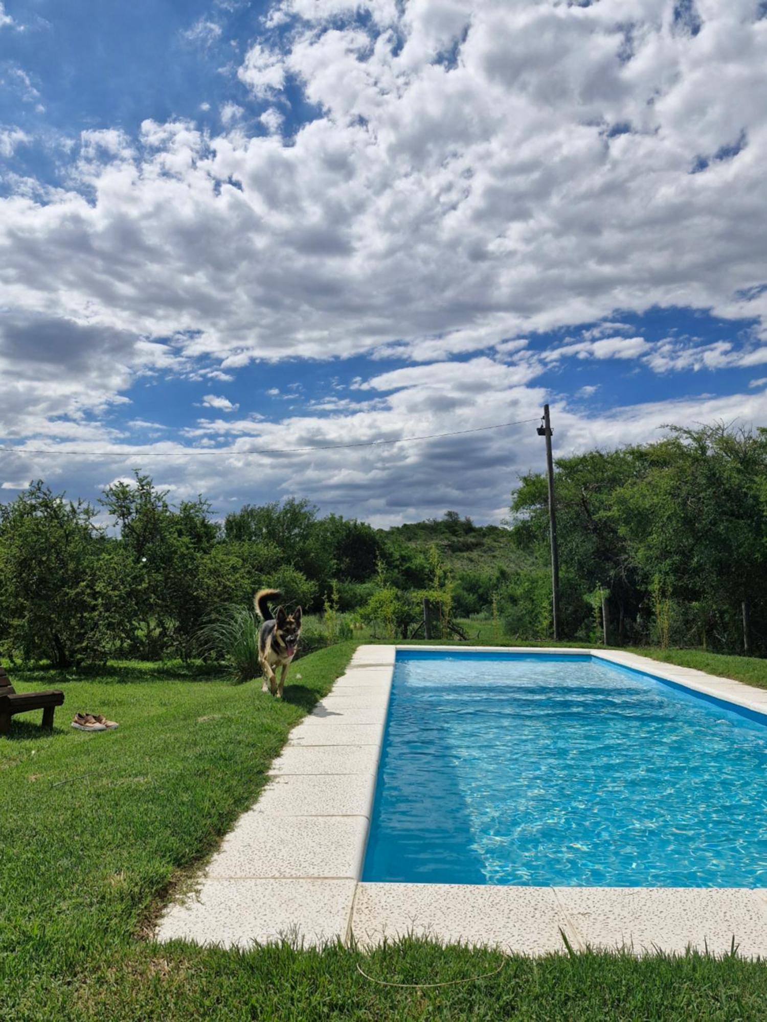El Rincon De Jose Luis - Cabanas Y Restaurante Tanti Dış mekan fotoğraf